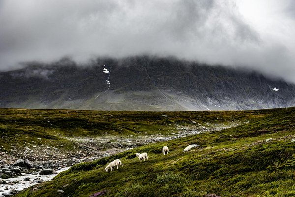 Où trouver des ateliers de broderie traditionnelle en Roumanie?